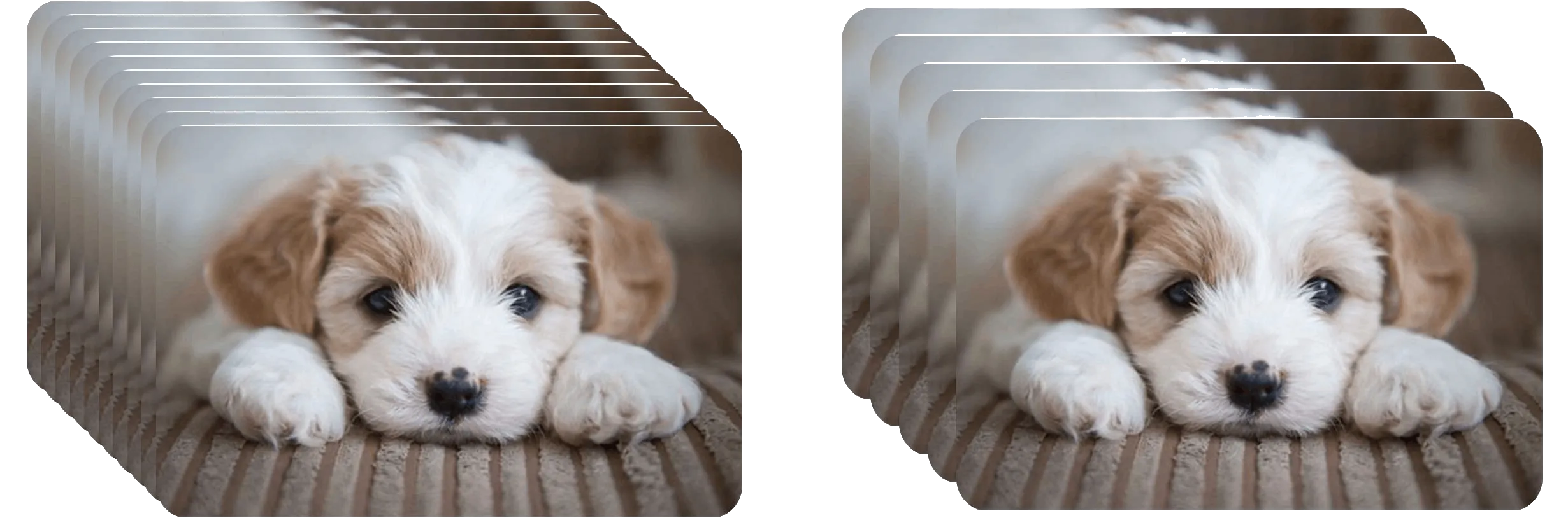 A series of images of a puppy laying down on the floor to illustrate what video means.